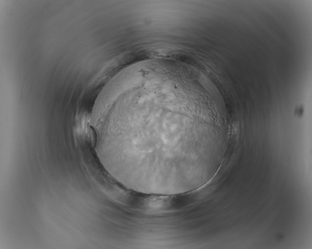 X0000110680094200906261331