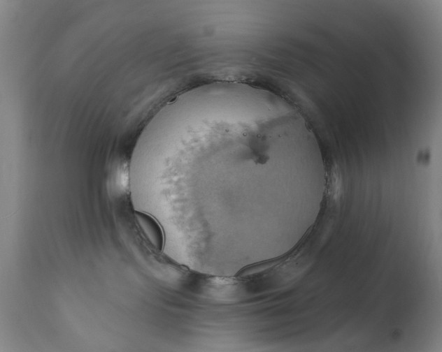 X0000110680095200906261331