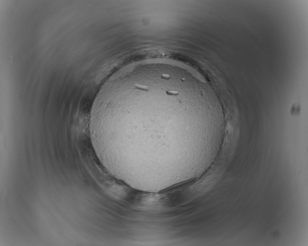 X0000110680096200906261331