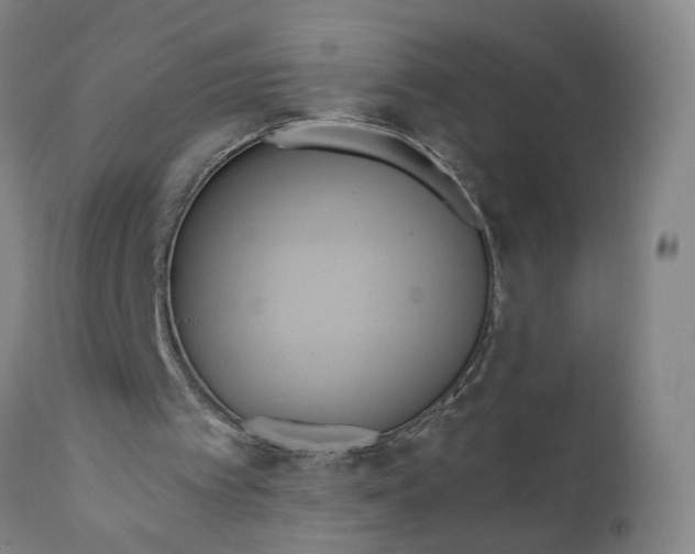 X0000110680097200906261330