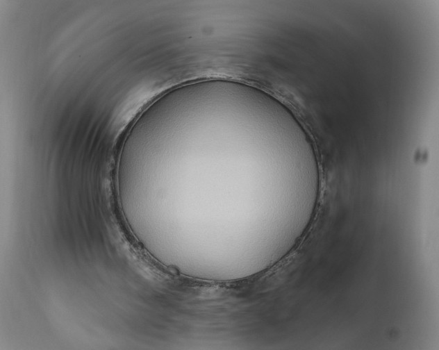 X0000110680098200906261330