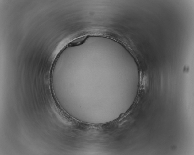 X0000110680099200906261330