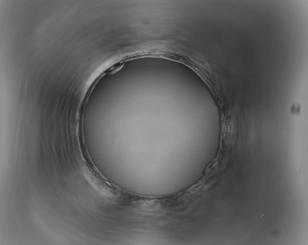 X0000110680100200906261330