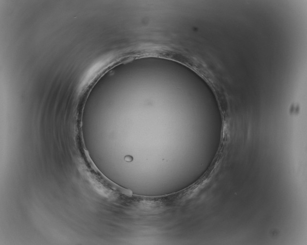 X0000110680101200906261330