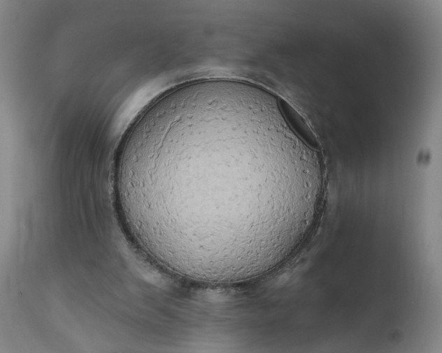 X0000110680103200906261330