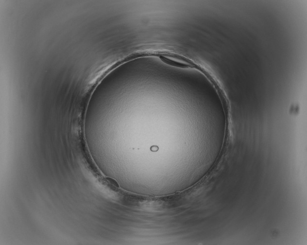 X0000110680105200906261330