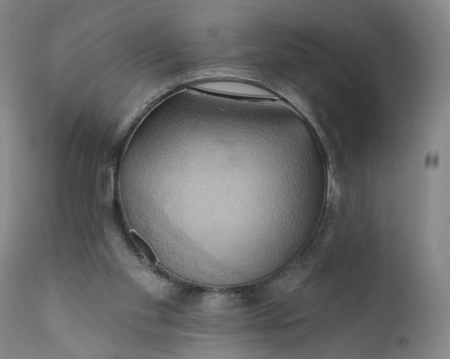 X0000110680109200906261330