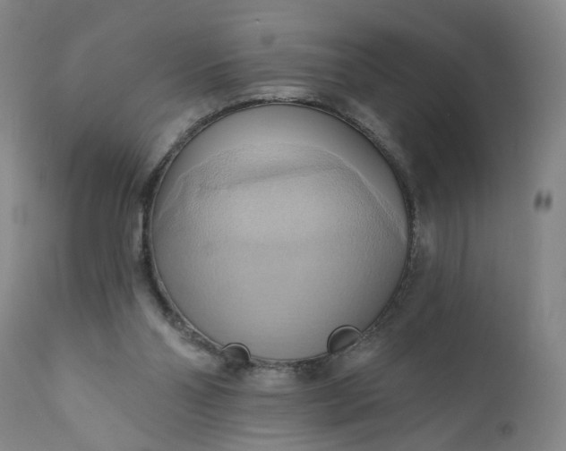 X0000110680110200906261330