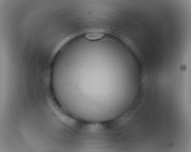 X0000110680112200906261330