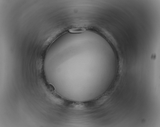 X0000110680113200906261330