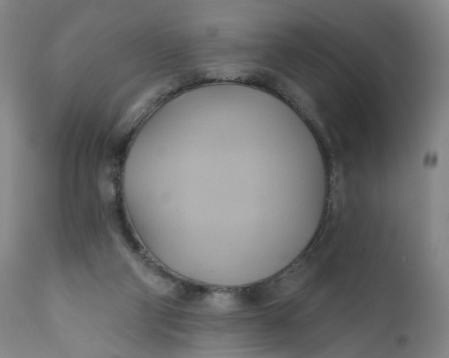 X0000110680114200906261330