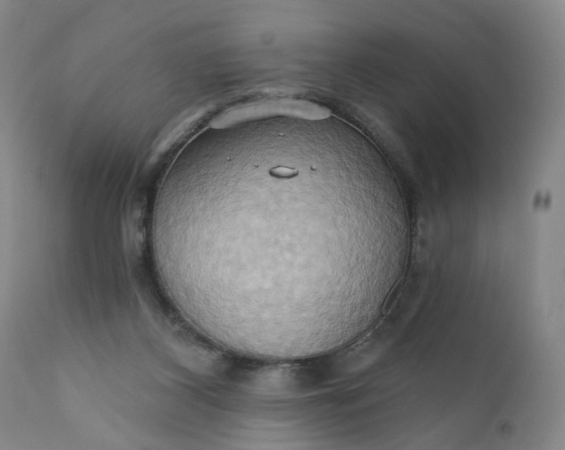 X0000110680116200906261330