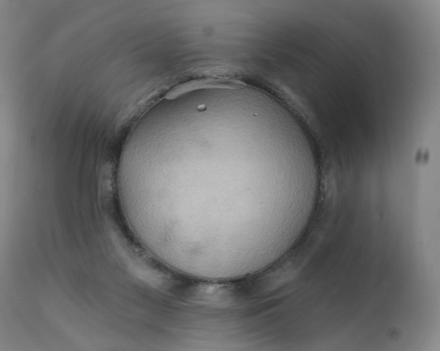 X0000110680117200906261330