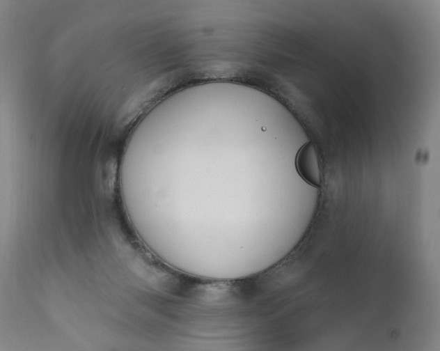 X0000110680118200906261330