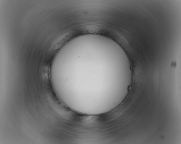 X0000110680122200906261330