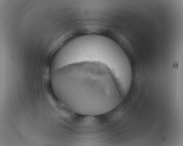 X0000110680123200906261329