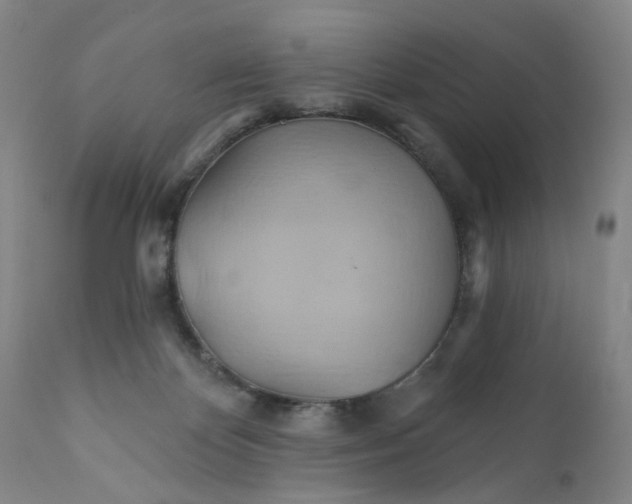 X0000110680124200906261329