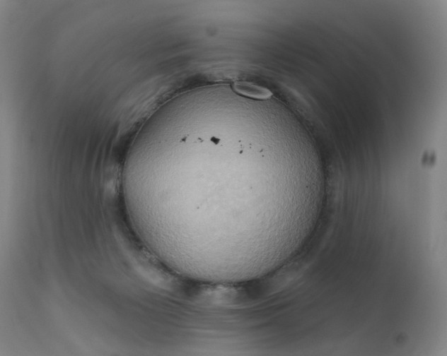 X0000110680125200906261329