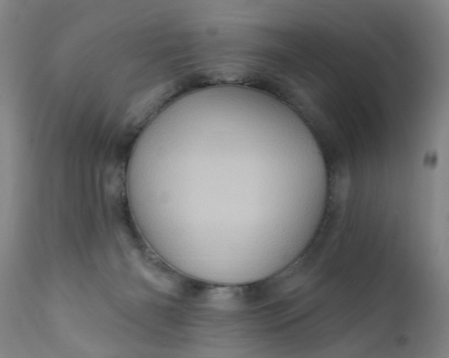 X0000110680126200906261329