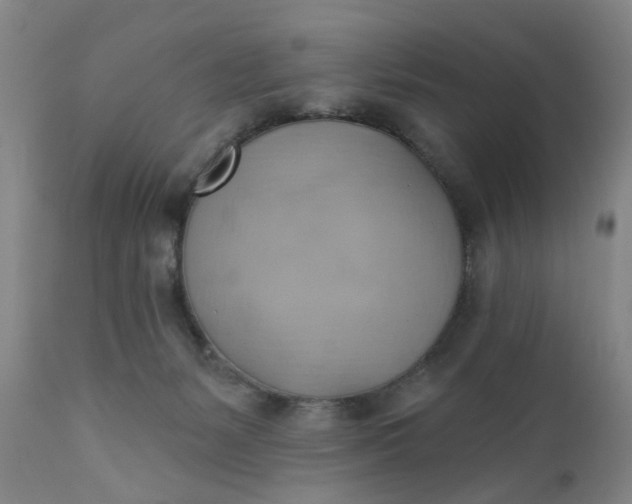 X0000110680127200906261329