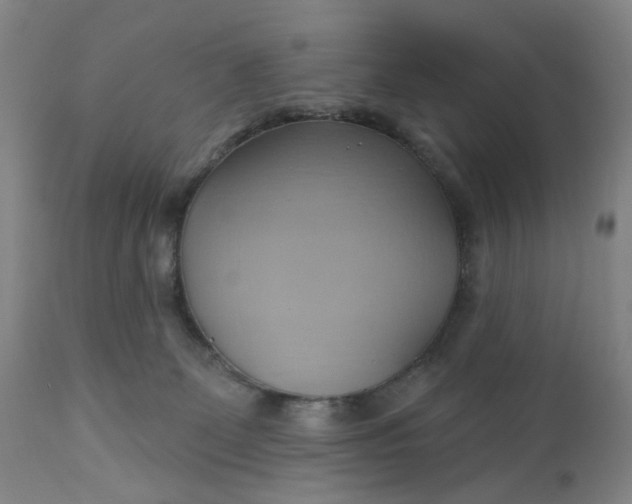 X0000110680131200906261329