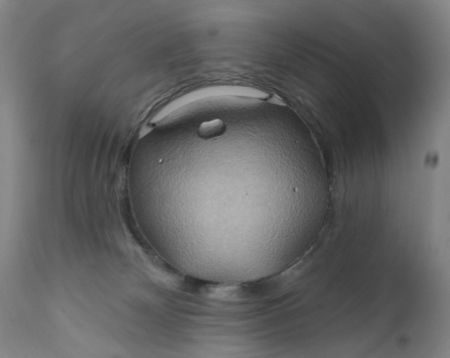 X0000110680132200906261329