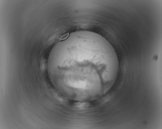 X0000110680135200906261329