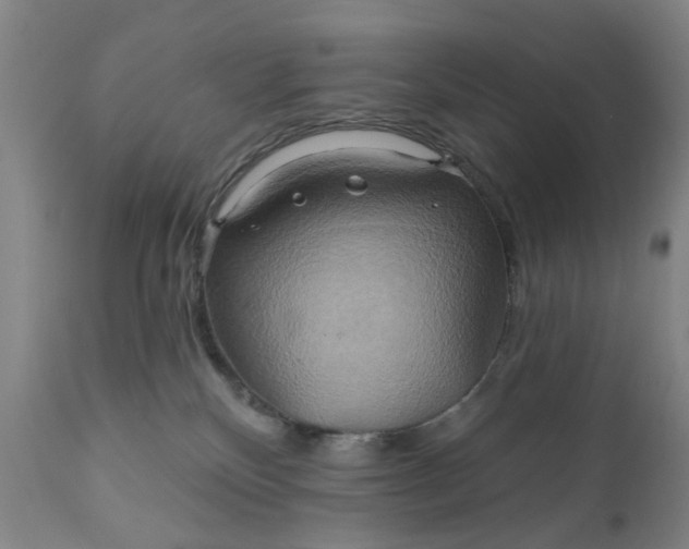 X0000110680136200906261329