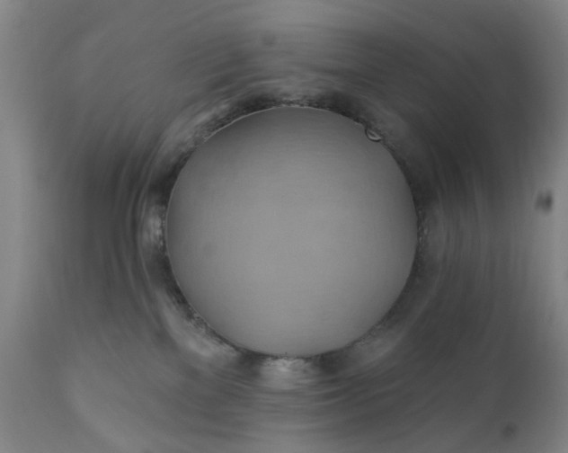 X0000110680137200906261329