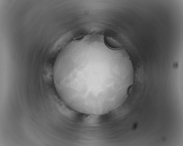 X0000110680138200906261329