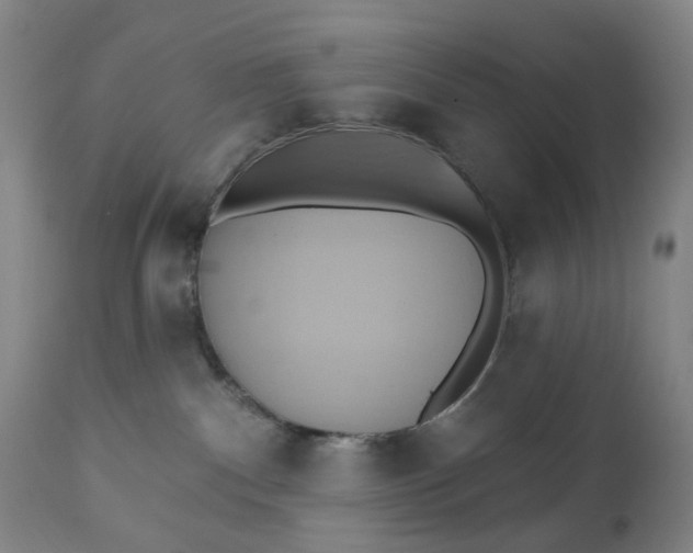 X0000110680140200906261329