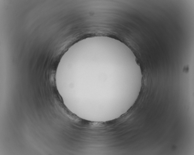 X0000110680141200906261329