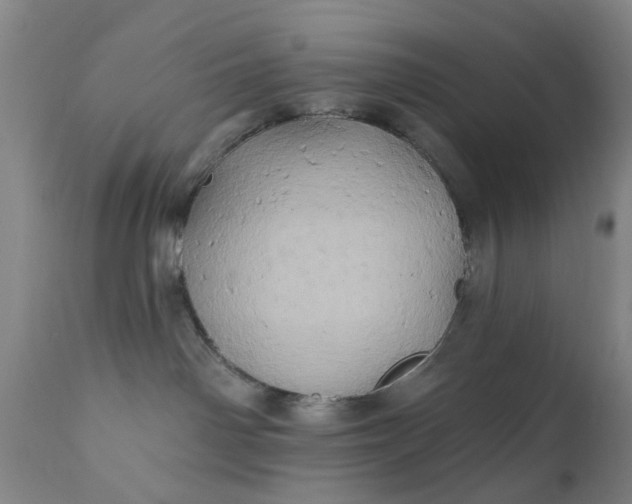 X0000110680142200906261329