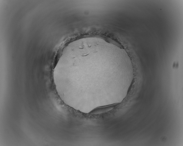 X0000110680144200906261329