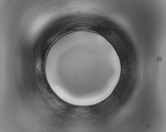 X0000110680146200906261329