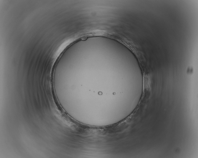 X0000110680147200906261329