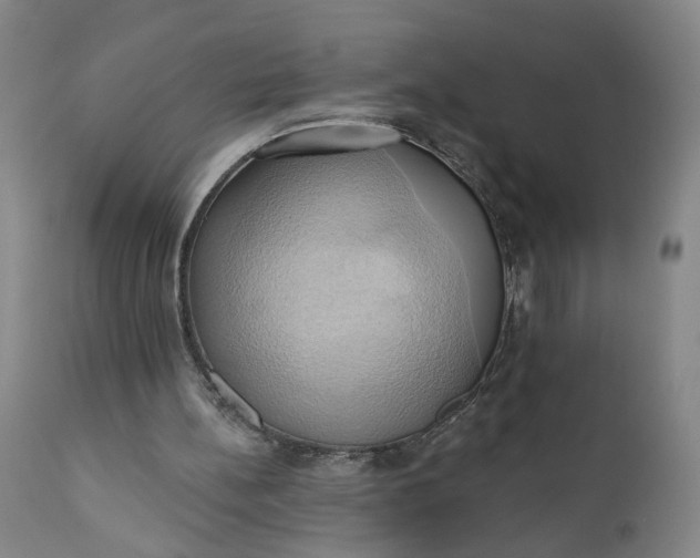 X0000110680148200906261329