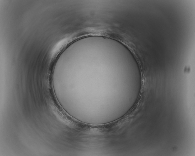 X0000110680149200906261329