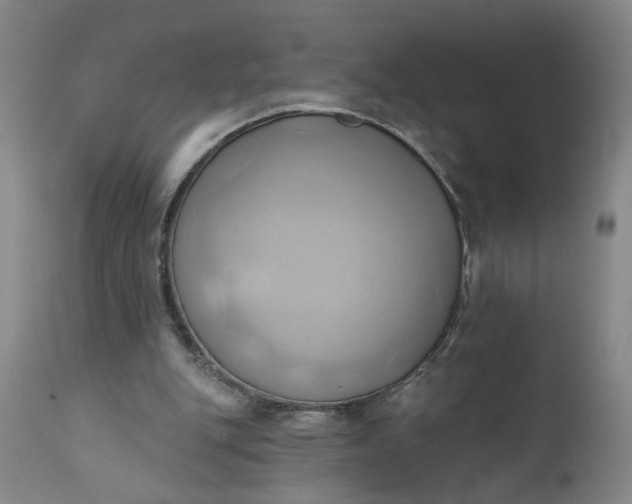 X0000110680151200906261329