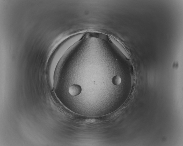 X0000110680152200906261329