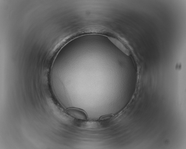 X0000110680154200906261329