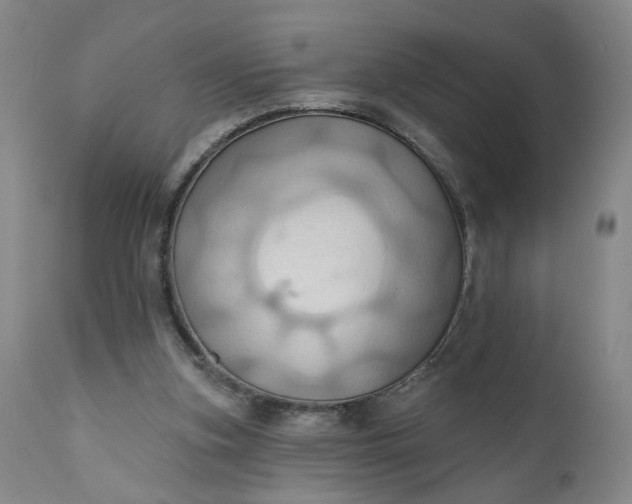 X0000110680155200906261329