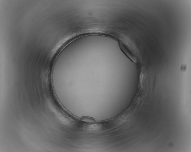 X0000110680156200906261329