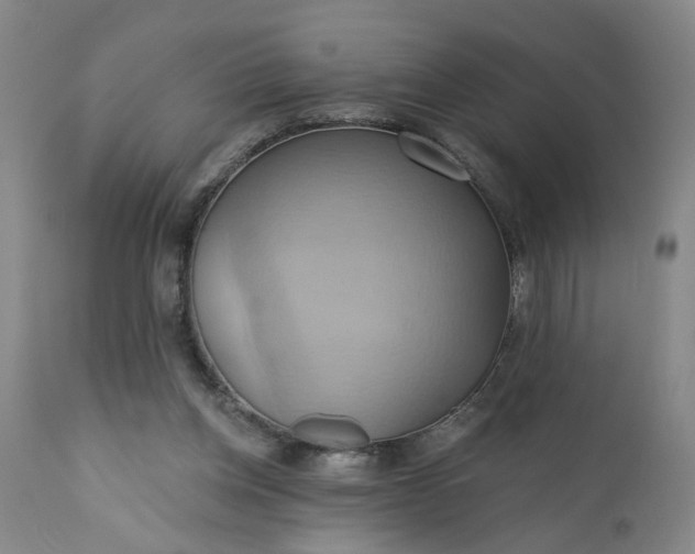 X0000110680158200906261329