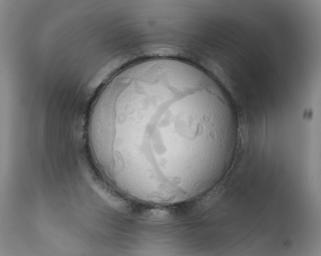 X0000110680159200906261329