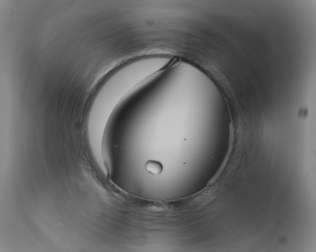 X0000110680160200906261329