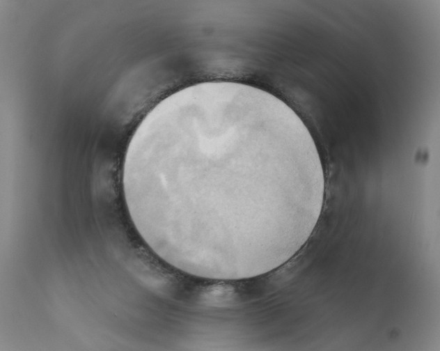 X0000110680162200906261329