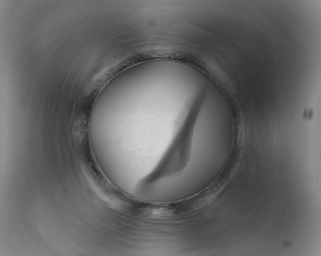 X0000110680165200906261329