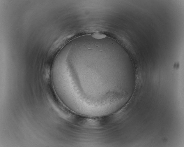 X0000110680166200906261329