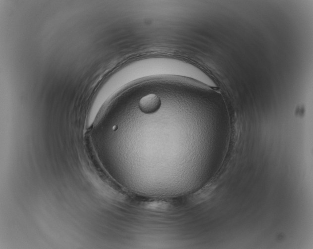 X0000110680168200906261329